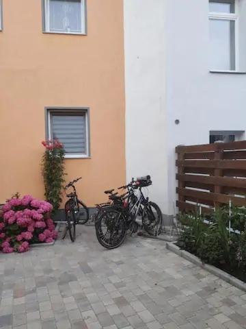 Thamy'S Homestay 2 Росток Екстер'єр фото